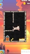 Puppy Rescue第16关通关技巧