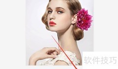 WPS图片转PDF批量操作指南