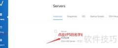 Vultr快照创建指南