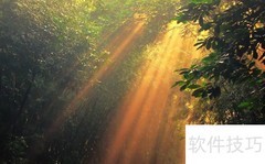 阳光造句：用光写诗