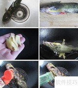 高考营养午餐：红烧汪刺鱼