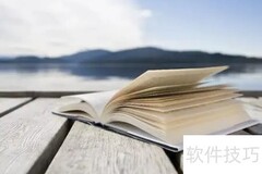 文眼与中心句的区别解析