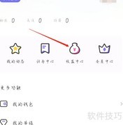 文撩收益中心查看指南