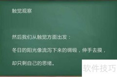 冬日暖阳如金洒大地
