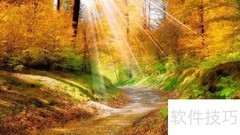 你是我的阳光与呼吸
