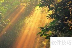阳光造句：一年级简单短句