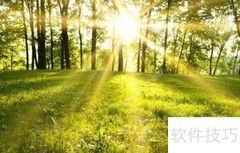 春日暖阳，明媚如诗