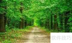 春日暖阳，明媚如诗