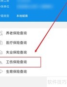 工伤保险查询方法指南