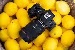 佳能RF14mm F1.4 L VCM体验评测