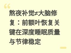 熬夜补觉≠大脑修复：前额叶恢复关键在深度睡眠质量与节律稳定