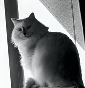 冒险手册平民萌新极简攻略