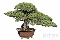 掌上盆景制作指南