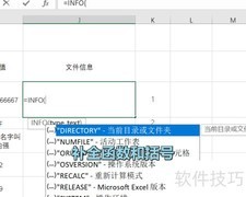 Excel INFO函数使用技巧