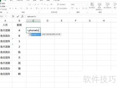 Phonetic函数使用技巧