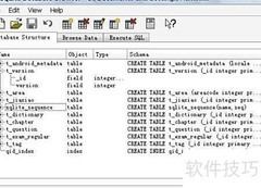 SQLite Browser使用指南