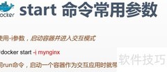 Docker start命令详解
