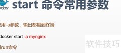 Docker start命令详解