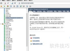 vSphere助手无法启动