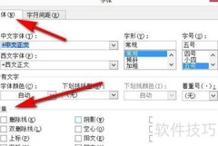 2010版Word文字处理技巧