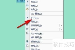 2010版Word文字处理技巧