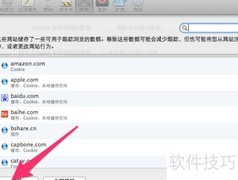 Safari清除Cookies方法