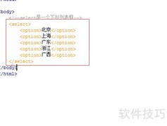 select标签使用技巧