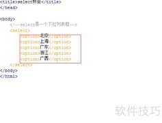 select标签使用技巧