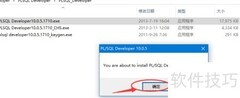 PLSQL Developer安装指南