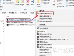 PLSQL Developer安装指南