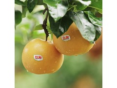 都乐Dole秋月梨1.6kg，原价29.9，满29减6仅23.9元