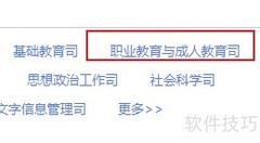高职顶岗实习标准查询指南