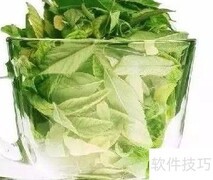 护肤小秘诀大公开