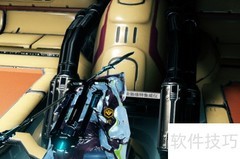 维特鲁威仪：奇迹的代价