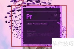 PR新建项目DV/HDV设置指南