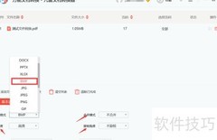 九雷PDF转BMP教程