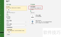 如何查看Project版本号