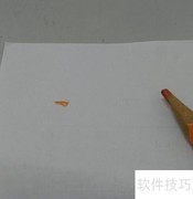 海鸥翩跹，大方得体之美