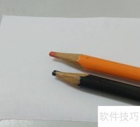 海鸥翩跹，大方得体之美