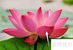 用混合器画笔美化照片