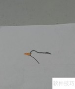 海鸥翩跹，大方得体之美