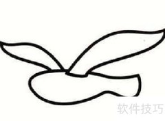 简笔画海鸥轻松学