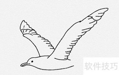 海鸥简笔画教程