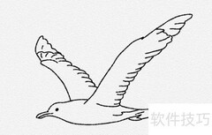 海鸥简笔画教程