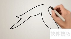 海鸥简笔画法轻松学