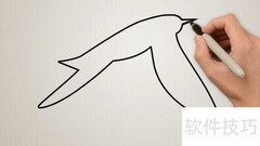 海鸥简笔画法轻松学