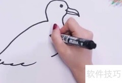 海鸥简笔画技巧，轻松上手