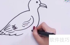 海鸥简笔画技巧，轻松上手