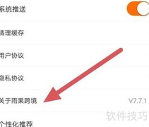 雨果跨境查看方法指南