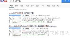 SVN汉化教程